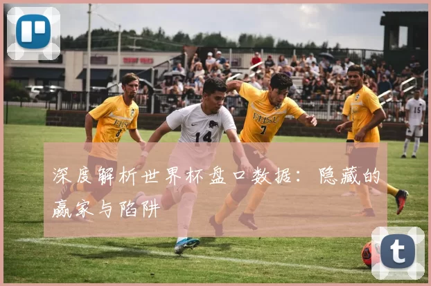 深度解析世界杯盘口数据：隐藏的赢家与陷阱