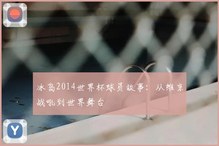 冰岛2014世界杯球员故事：从维京战吼到世界舞台