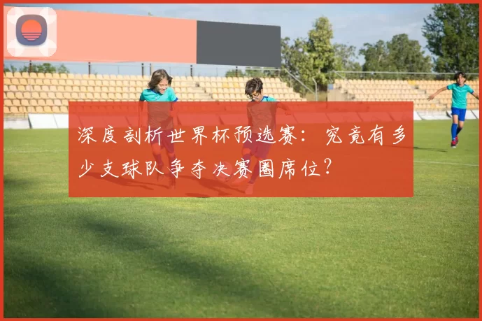 深度剖析世界杯预选赛:究竟有多少支球队争夺决赛圈席位?