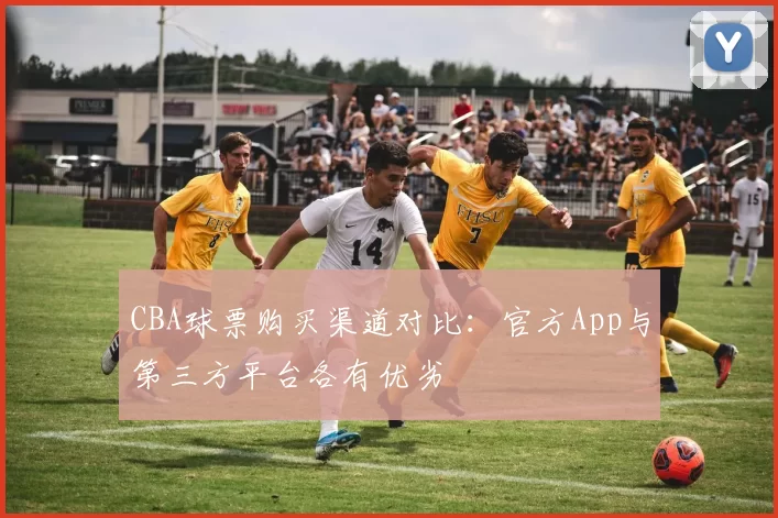 CBA球票购买渠道对比:官方App与第三方平台各有优劣