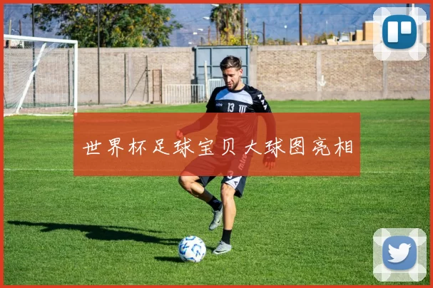 世界杯足球宝贝大球图亮相