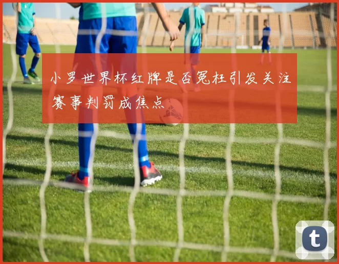 小罗世界杯红牌是否冤枉引发关注 赛事判罚成焦点