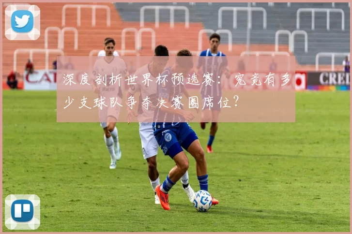 深度剖析世界杯预选赛:究竟有多少支球队争夺决赛圈席位?