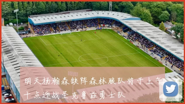 明天杨瀚森缺阵森林狼队将于上午十点迎战圣克鲁兹勇士队