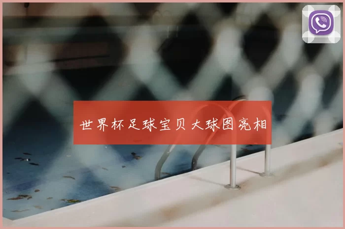 世界杯足球宝贝大球图亮相