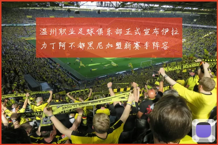 温州职业足球俱乐部正式宣布伊拉力丁阿不都黑尼加盟新赛季阵容