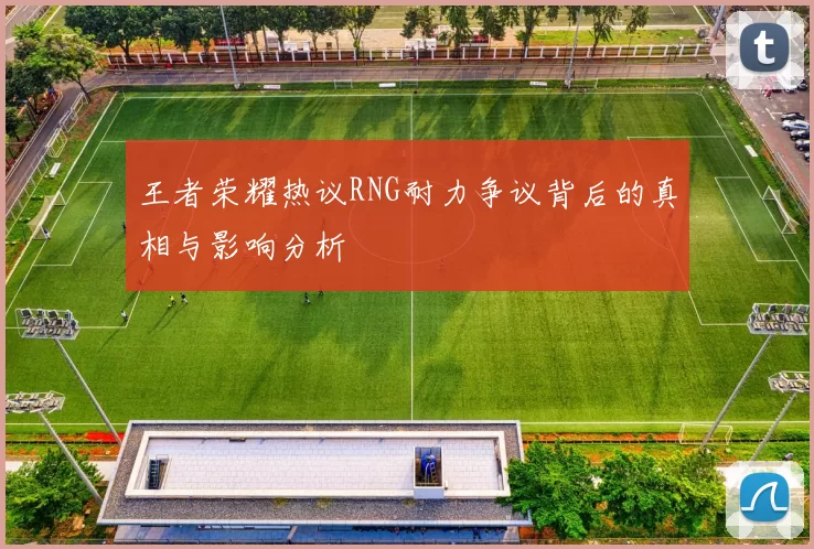 王者荣耀热议RNG耐力争议背后的真相与影响分析